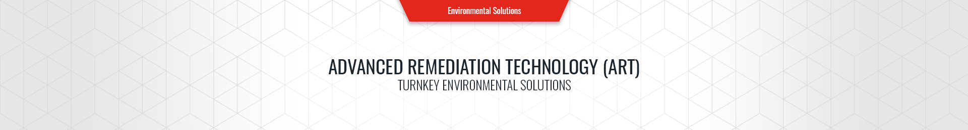 Remediation Services